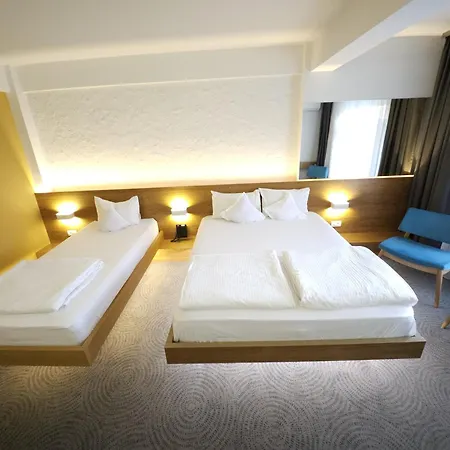Hotell Silva Timişoara