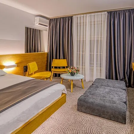 Silva Hotell Timişoara