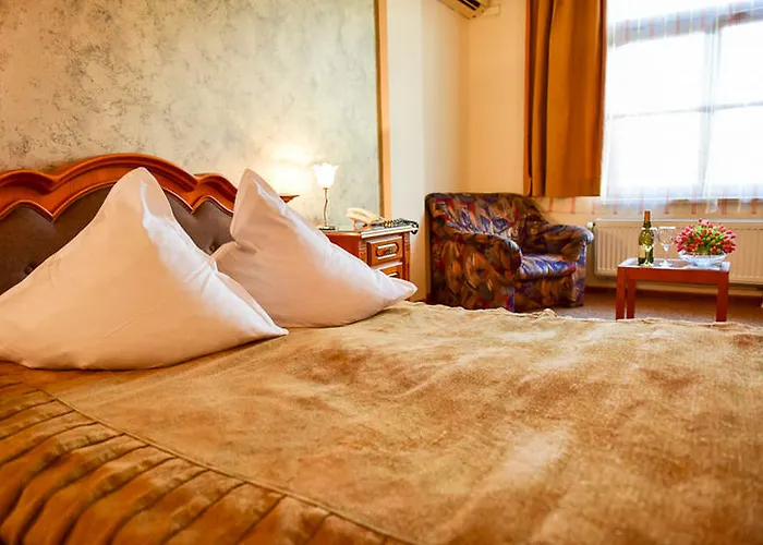 Hotel Silva Timisoara