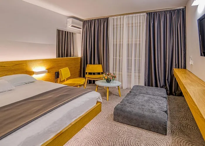 Silva Hotel Timisoara